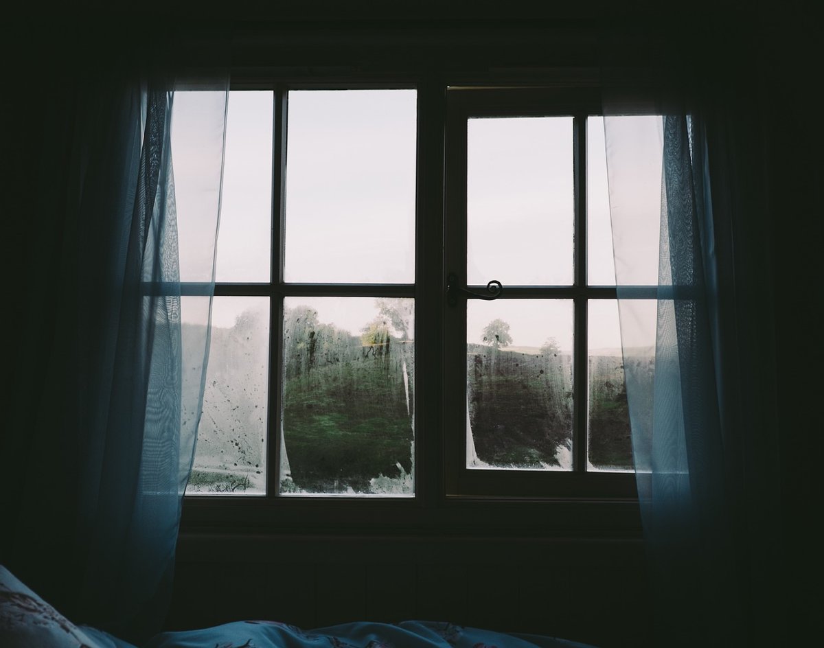 Featured image of post Schimmel im Schlafzimmer bekämpfen: Welcher Luftentfeuchter hilft?