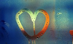 Featured image of post Kondenswasser am Fenster: Ursachen, Lösungen und wann ein Luftentfeuchter hilft