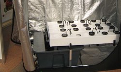 Featured image of post Luftentfeuchter für die Growbox: Kapazität, Setups & häufige Fehler