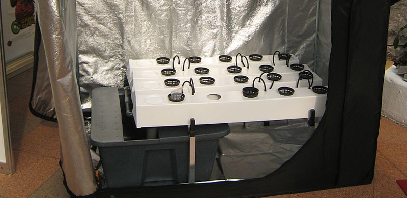 Featured image of post Luftentfeuchter für die Growbox: Kapazität, Setups & häufige Fehler
