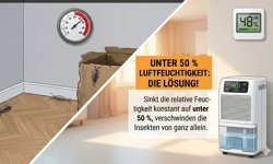 Featured image of post Luftentfeuchter gegen Silberfische: Ursache bekämpfen